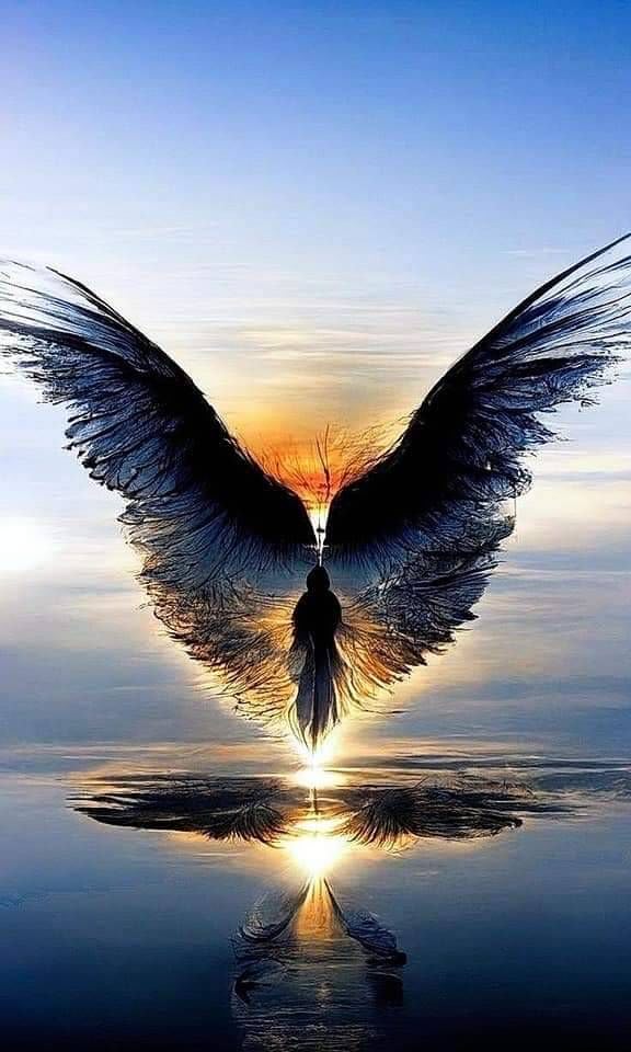 Karty Tarota Karty Klasyczne i Ezoteryka Pop Magiczna Maja