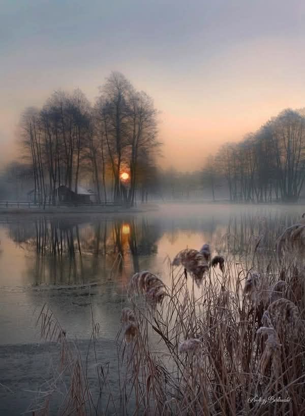 Kaszubskie lasy we mgle z legendarną postacią Smętka, kaszubski folklor i tajemnicze opowieści.
