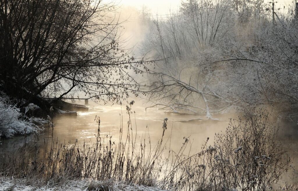 „Smętek – mroczny cień kaszubskich lasów, który odbija ukryte lęki człowieka i przypomina o sile światła w nas samych.”